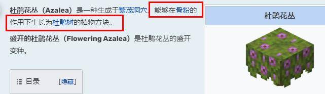 《我的世界》杜鹃花丛的作用是什么