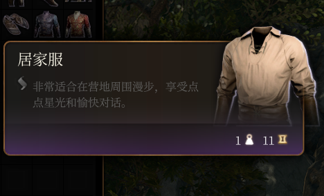 《博德之门3》居家服效果详解