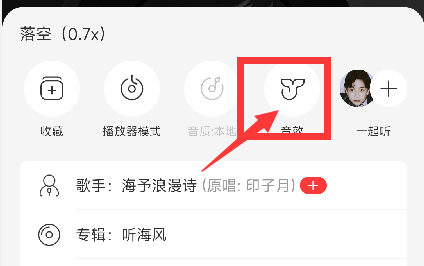 《网易云音乐》怎么定制音效