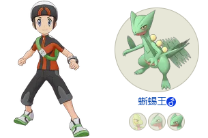 《宝可梦Masters》小悠x蜥蜴王拍组分析