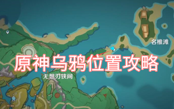《原神》乌鸦位置详情一览