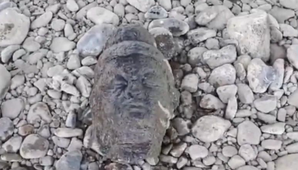 钓鱼佬龙门石窟下游捡到佛头，已报警上交！