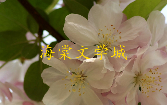 《海棠文学城》看书会被打电话吗