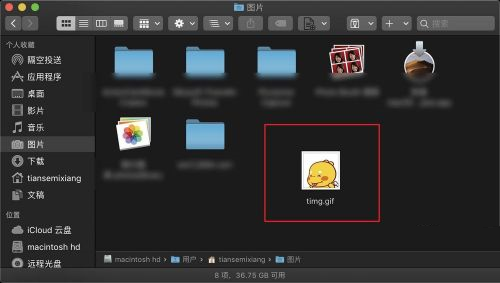 macOS查看gif图片操作方法介绍