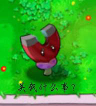 《植物大战僵尸》磁力菇在白天睡觉后需要用什么唤醒？